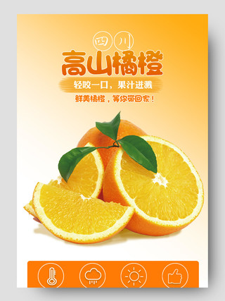 橙色美味鲜橘橙子淘宝电商详情页生鲜水果橙子详情页